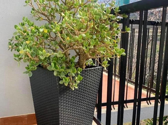 Charming House With Mountain View In Manteigas, Fireplace 別荘 *